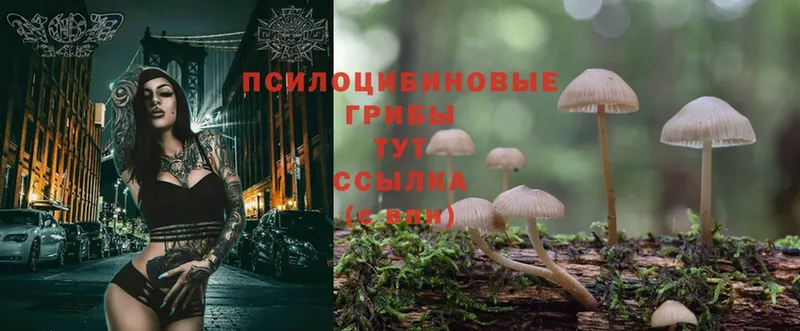 Галлюциногенные грибы Magic Shrooms  Великий Устюг 